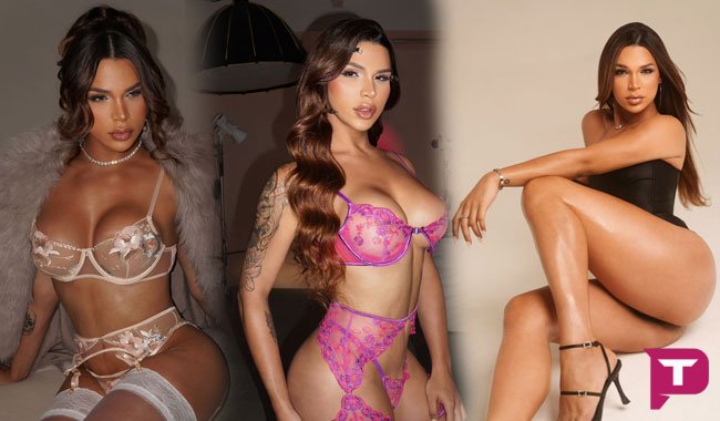 Thailla Buarque - Acompanhante Travesti / Transex em Recife - PE Thailla Buarque - Acompanhante Travesti / Transex em Recife - PE